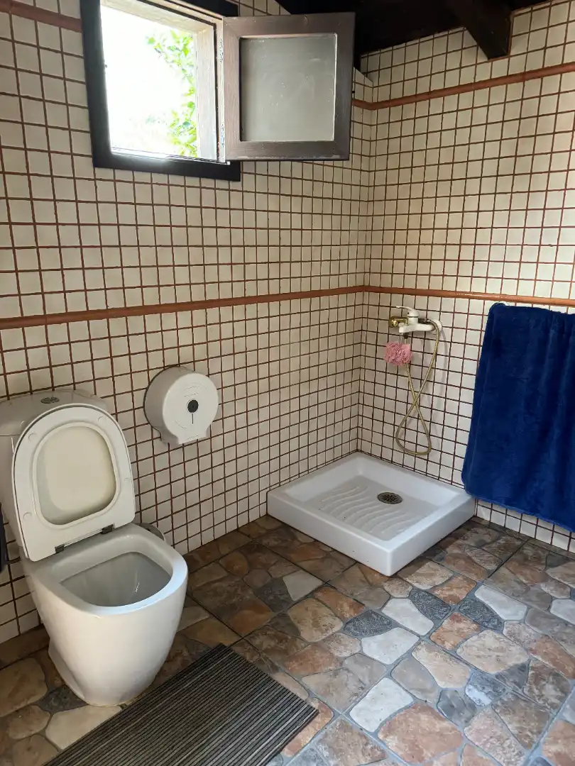 Bany de Finca rústica en venda en San Bartolomé de Tirajana amb Aire condicionat, Jardí privat i Terrassa