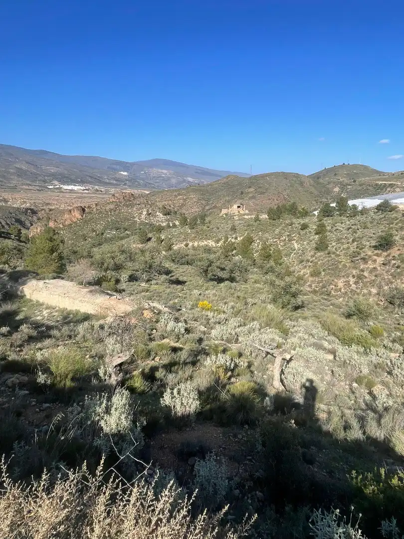 Terreno en venta en Almócita