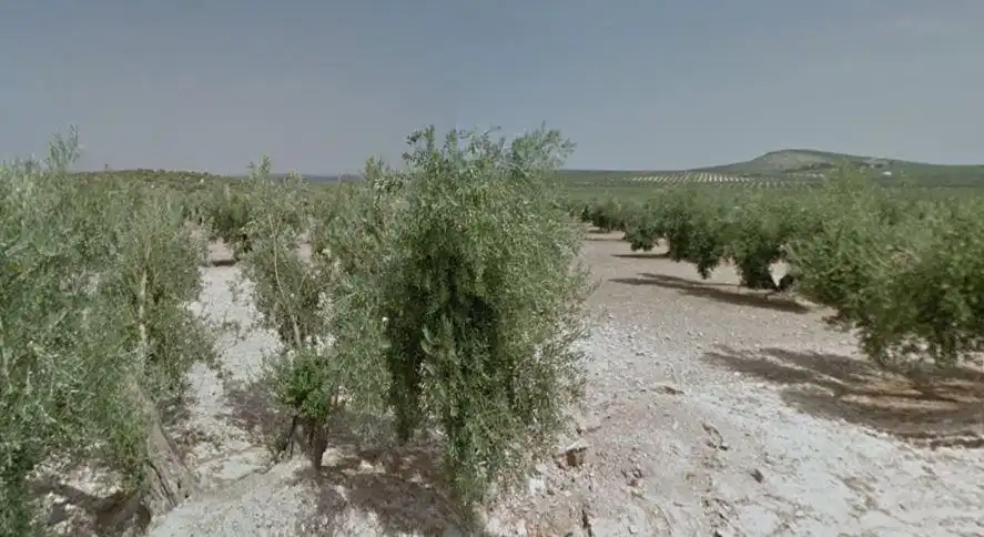 Terreni e lotti in vendita a Camino Torredonjimeno