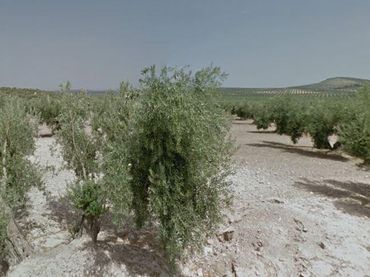 Terreno residencial en venta en Camino Torredonjimeno