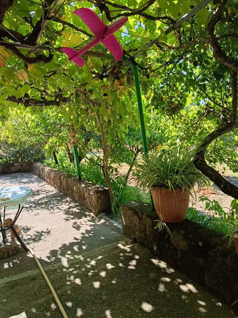 Terrace of Land for sale in Jarandilla de la Vera