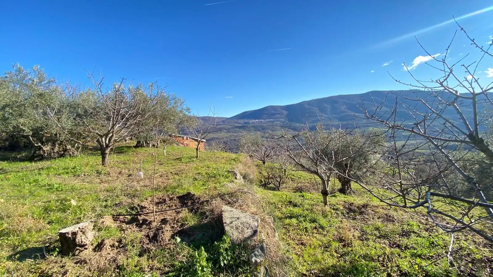 Terreni e lotti in vendita a El Torno, imagen 17