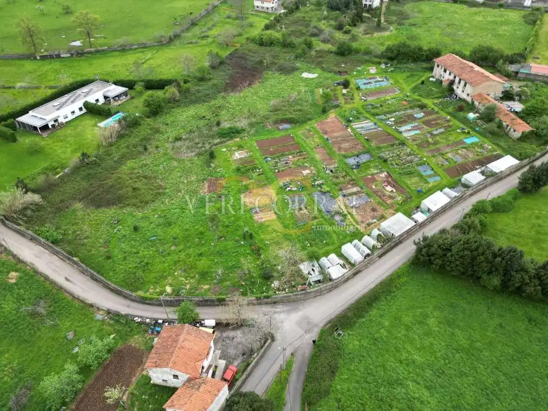 Terreny residencial en venda a Camino de La Pedrera, imagen 14