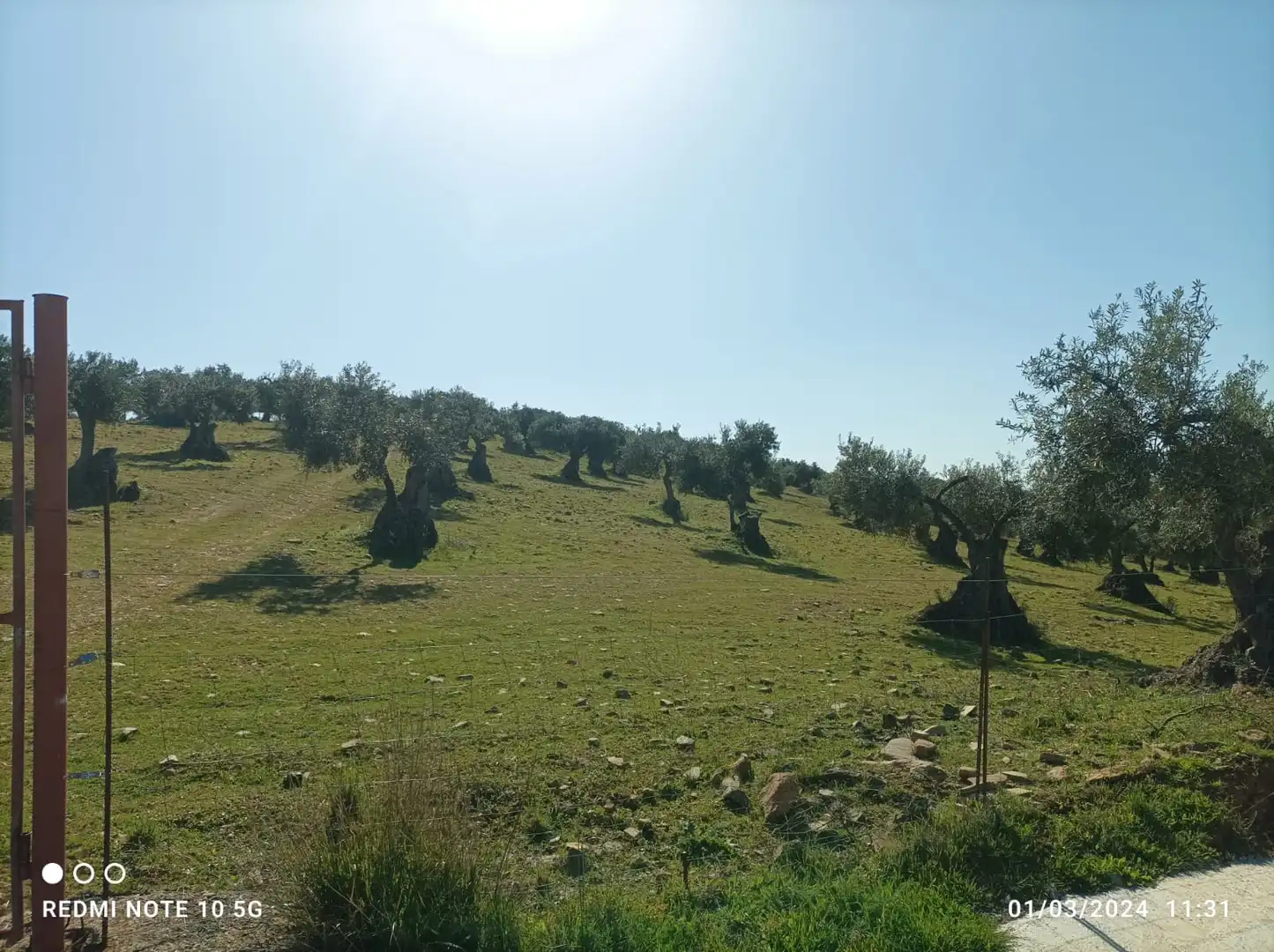 Terreni e lotti in vendita a Zafra, imagen 2