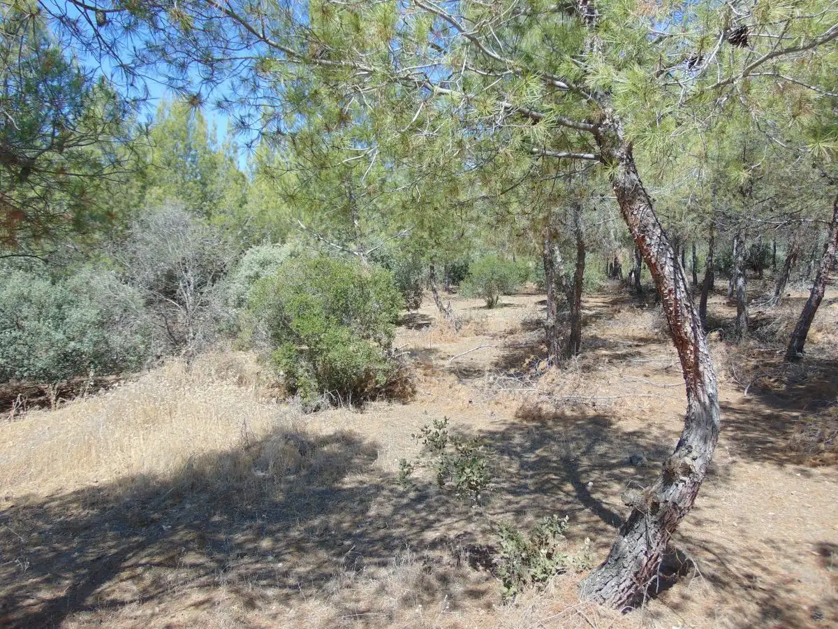 Chalet en venta en Santa Cruz de Mudela, imagen 15