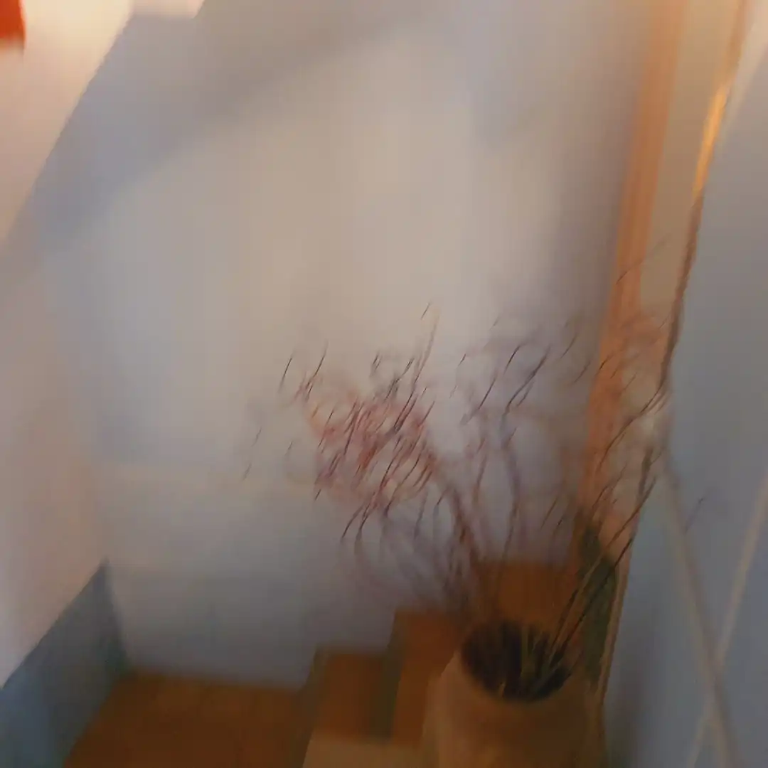 Maison à vendre à Benifallet, imagen 43