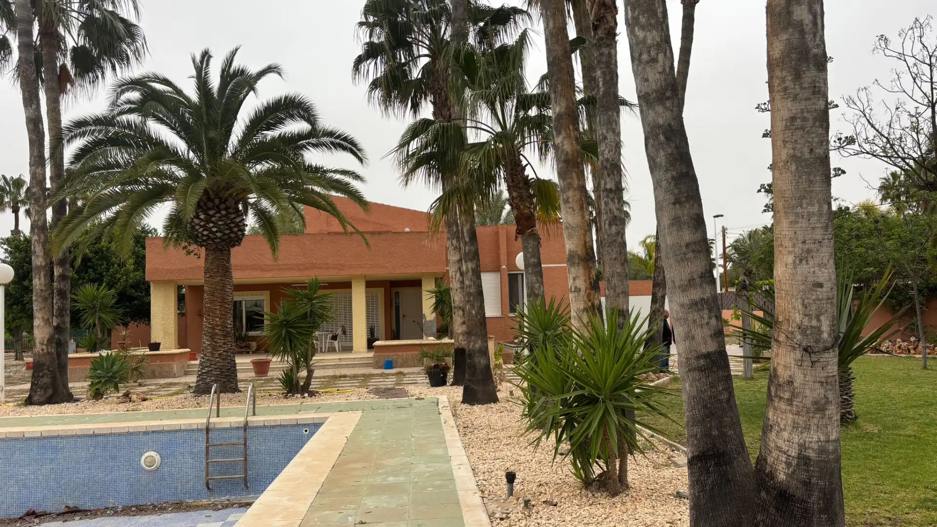 Vista exterior de Casa o xalet en venda en Elche / Elx amb Jardí privat, Terrassa i Piscina