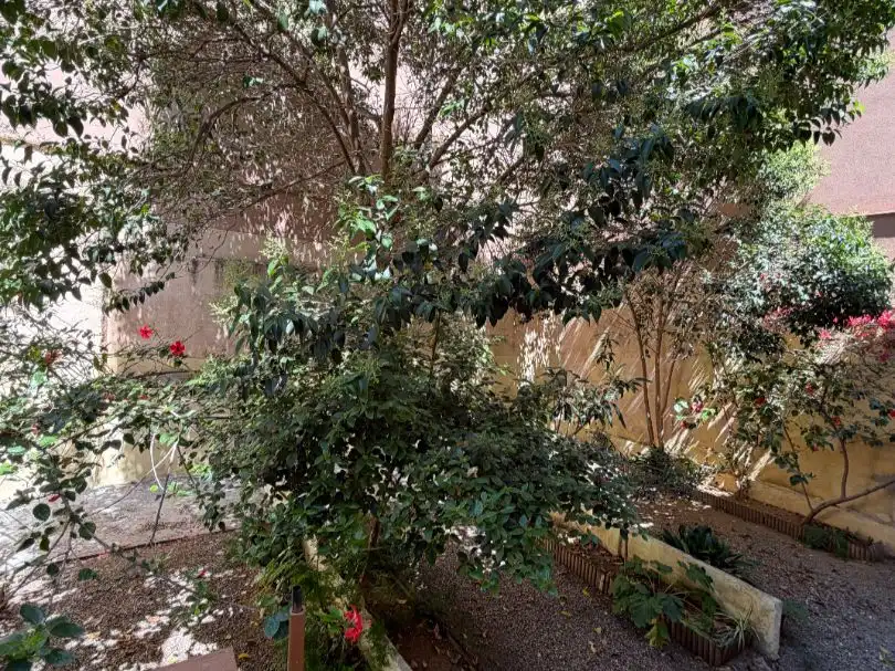 Garden of Residential for sale in Mataró