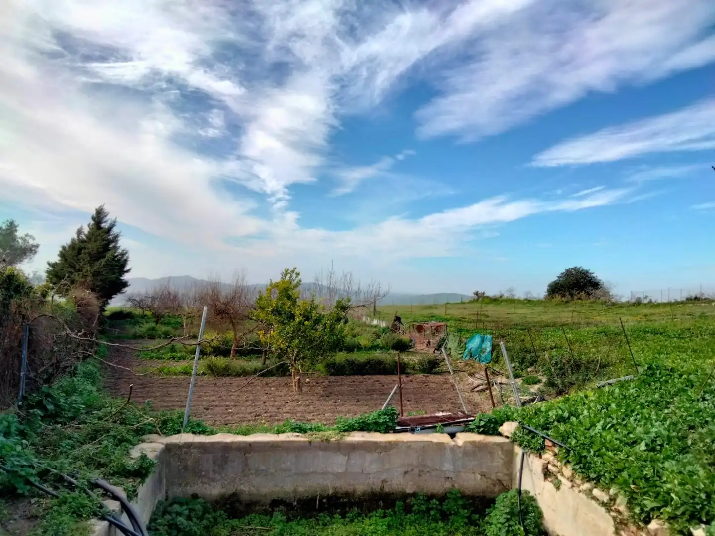 Terreny residencial en venda a Medina Sidonia, imagen 9
