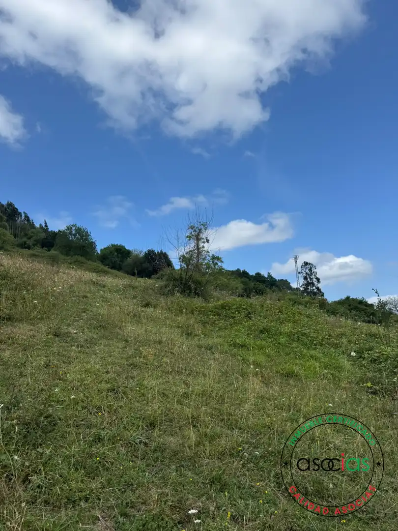 Terreny en venda en Villaviciosa