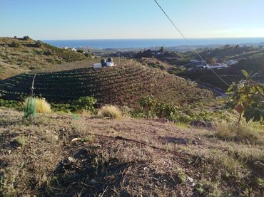 Terreny rústic en venda a LOS ALESES
