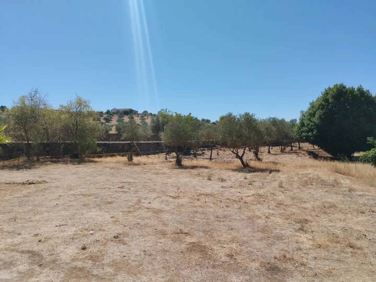 Country house with pool for sale in Zafra, imagen 27