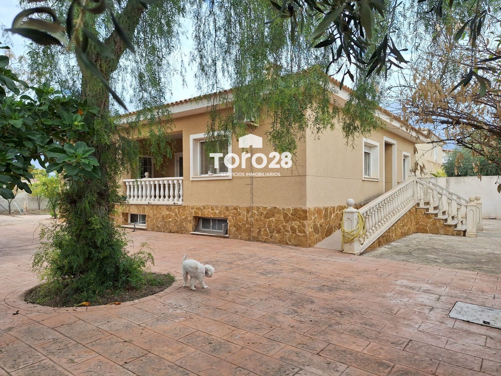 Exterior view of House or chalet for sale in San Vicente del Raspeig / Sant Vicent del Raspeig  with Heating, Storage room and Alarm