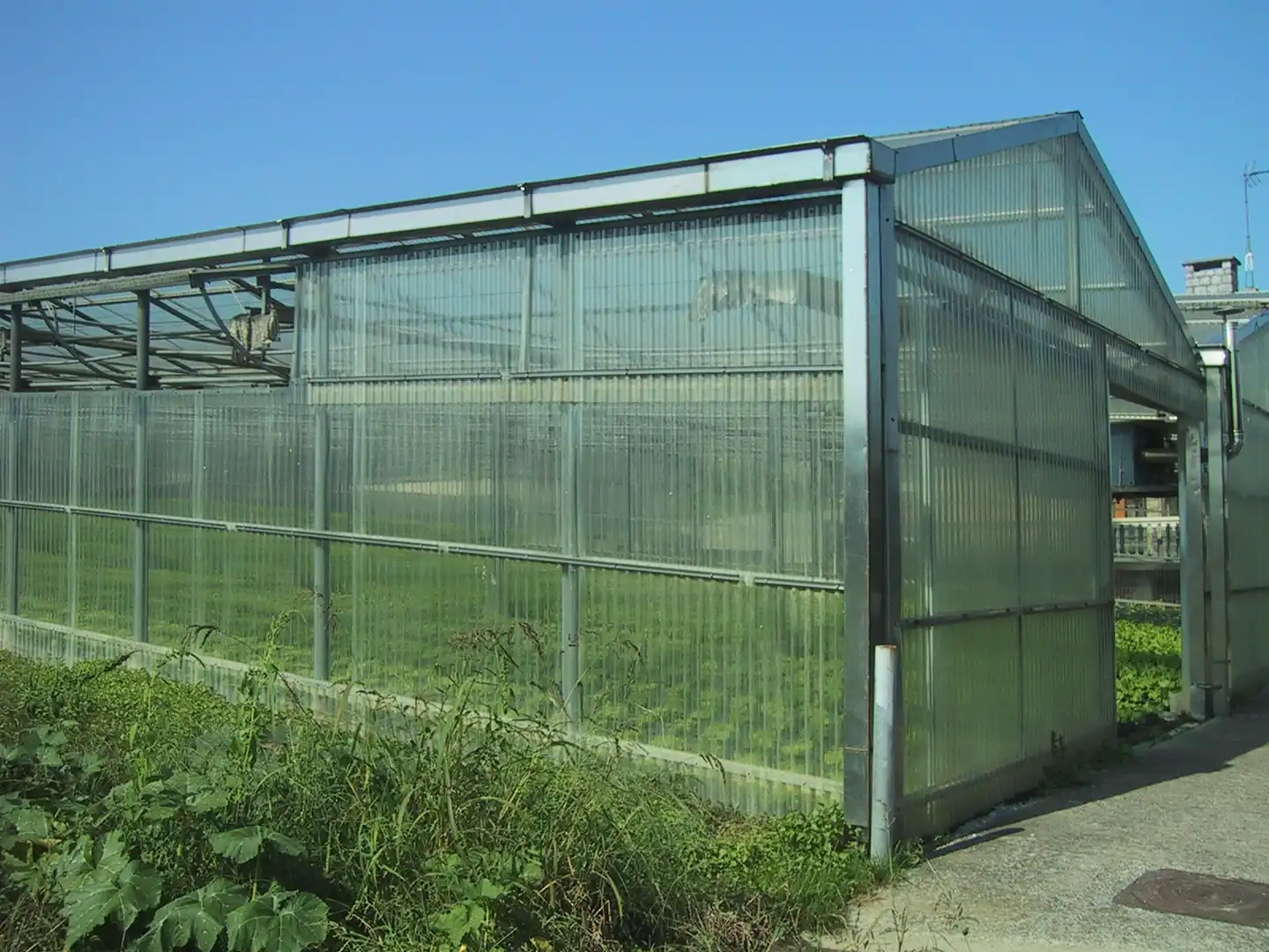 Garden of Land for sale in Donostia - San Sebastián 
