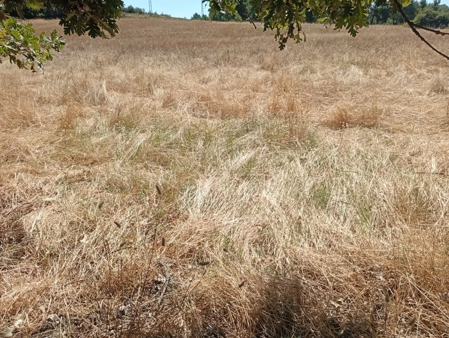 Terreni e lotti in vendita a Villanueva de la Vera, imagen 25
