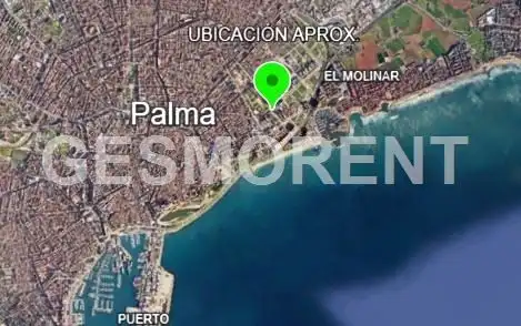 Außenansicht von Geschaftsraum zum Verkauf in  Palma de Mallorca