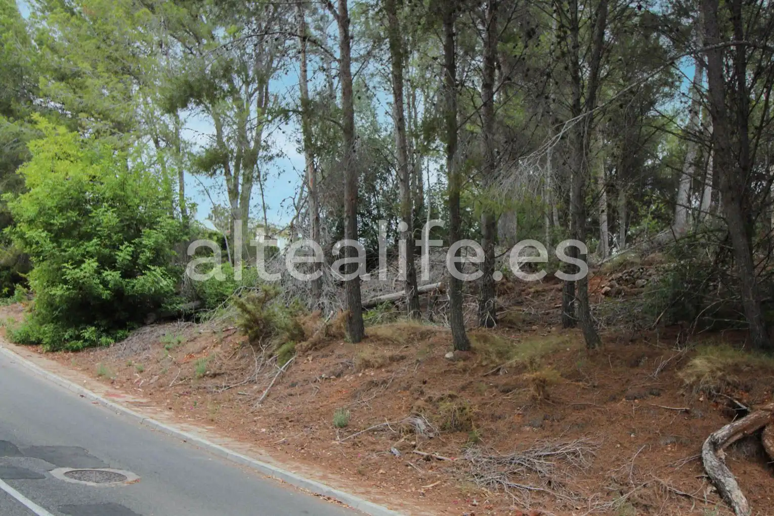 Terreny residencial en venda a Carrer Figuera, imagen 3