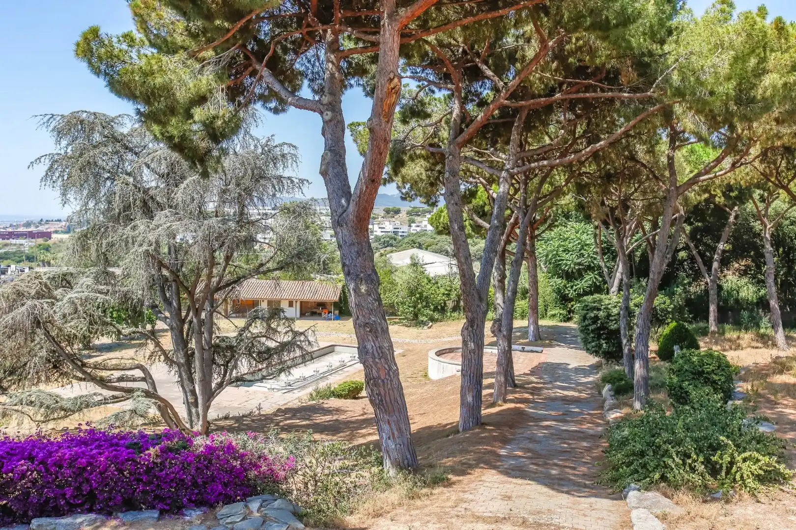 Finca rústica en venda a Carretera Carretera de la Mata, 76, El Palau - Escorxador
