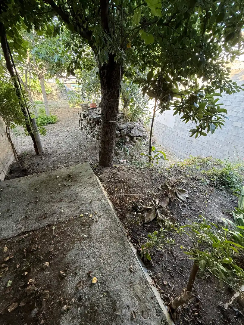 House with garden for sale in Calle Abad Palomino, imagen 11
