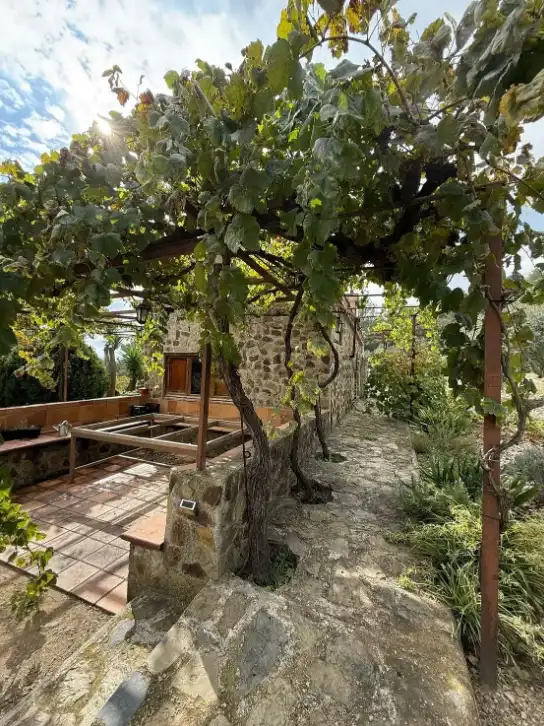 Country house with terrace for sale in Almoster, imagen 54