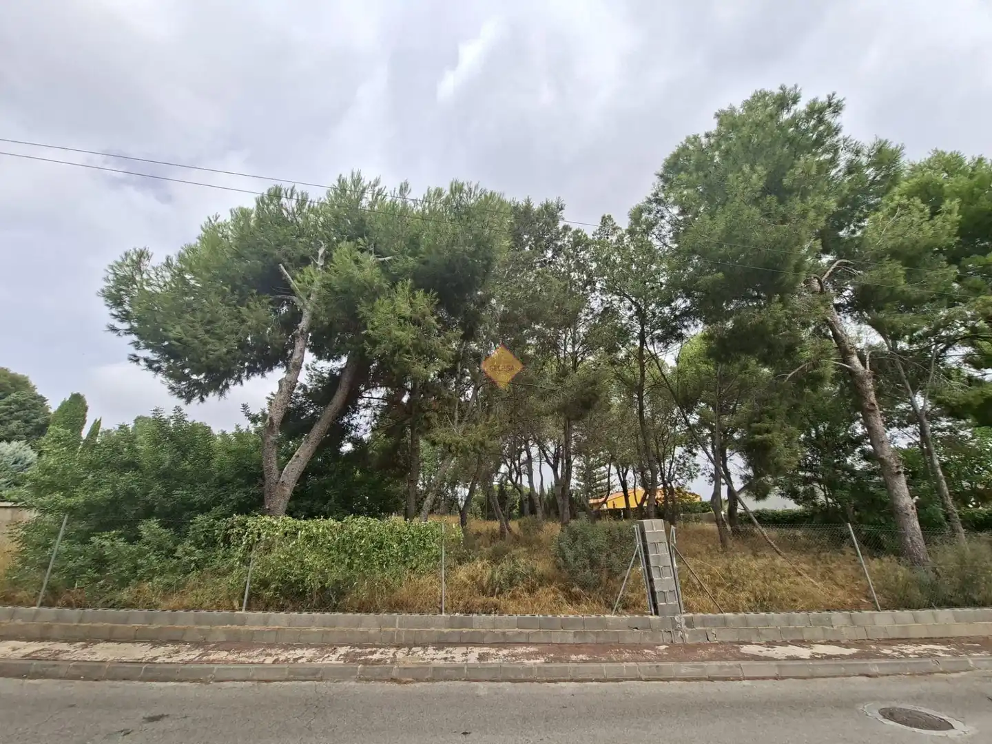 Terreno residenziale in vendita a La Conarda - Montesano, imagen 7