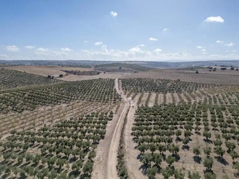 Land for sale in Alamedilla