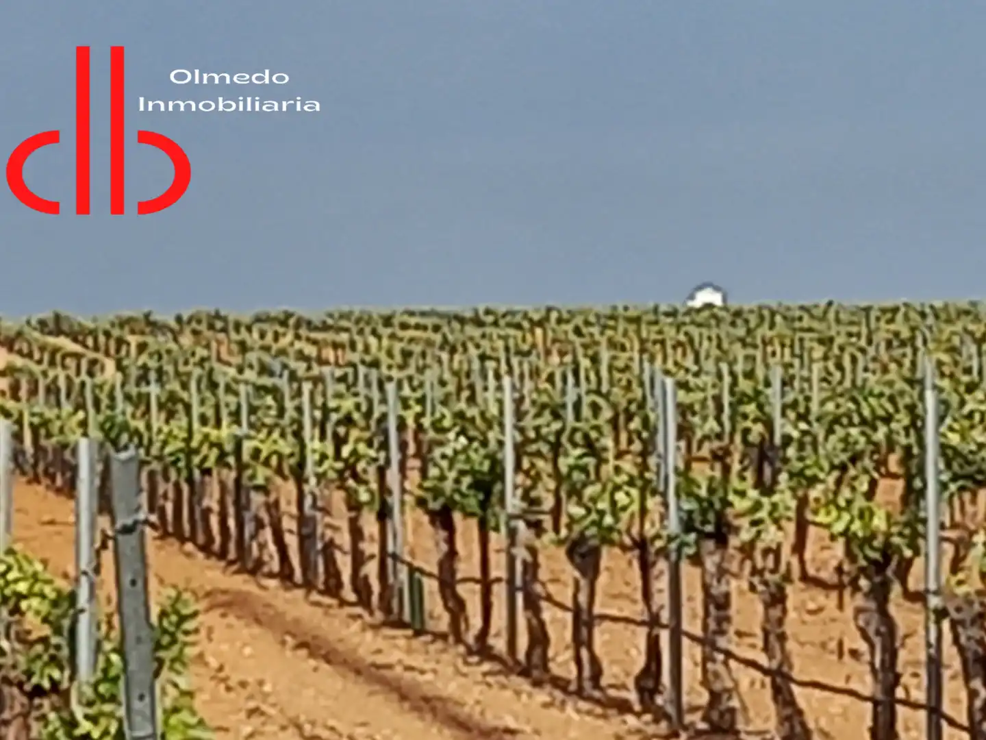 Rustikales Grundstück zum Verkauf in Pedro Muñoz, imagen 3