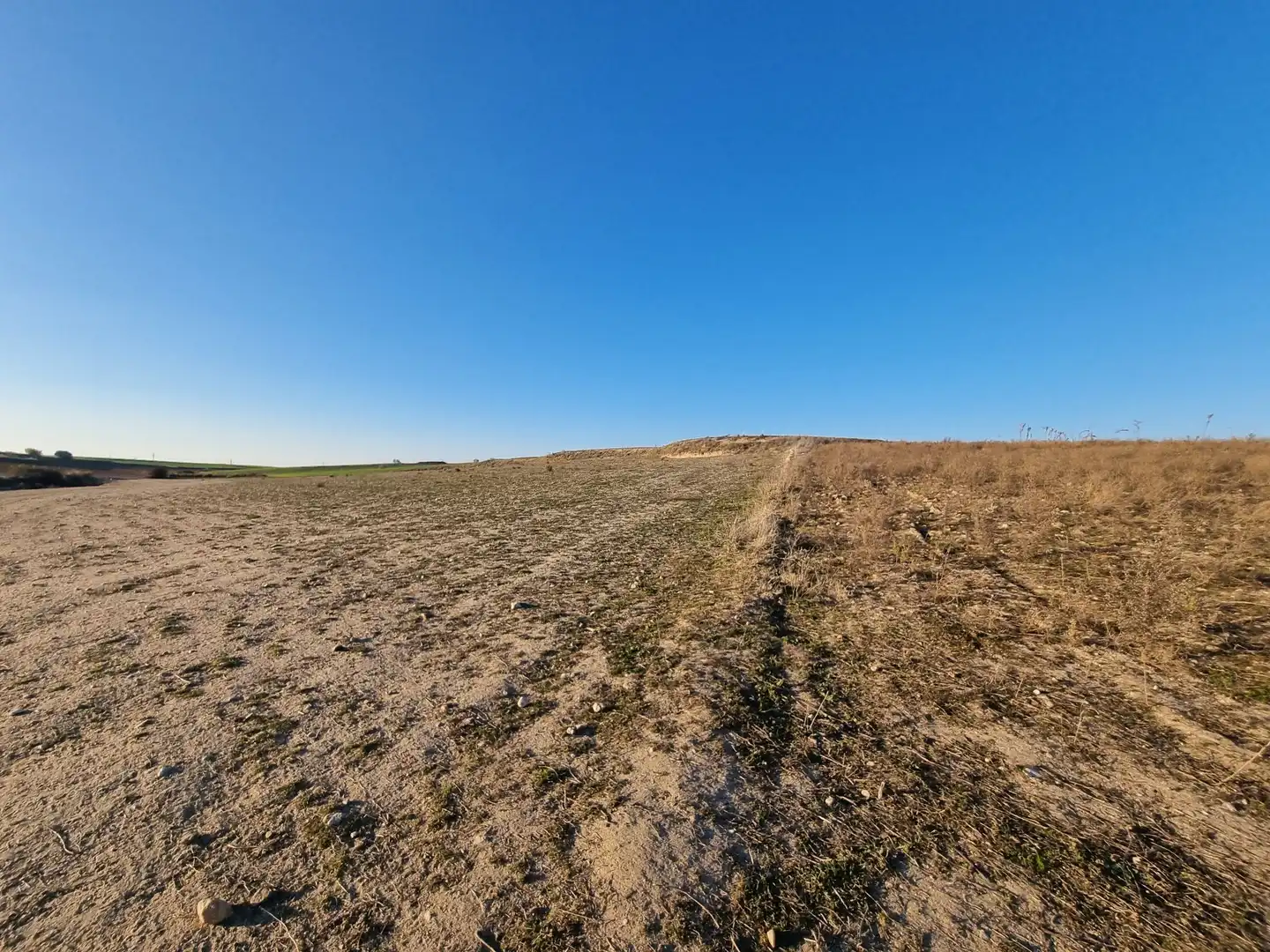 Rural land for sale in El Álamo, imagen 13