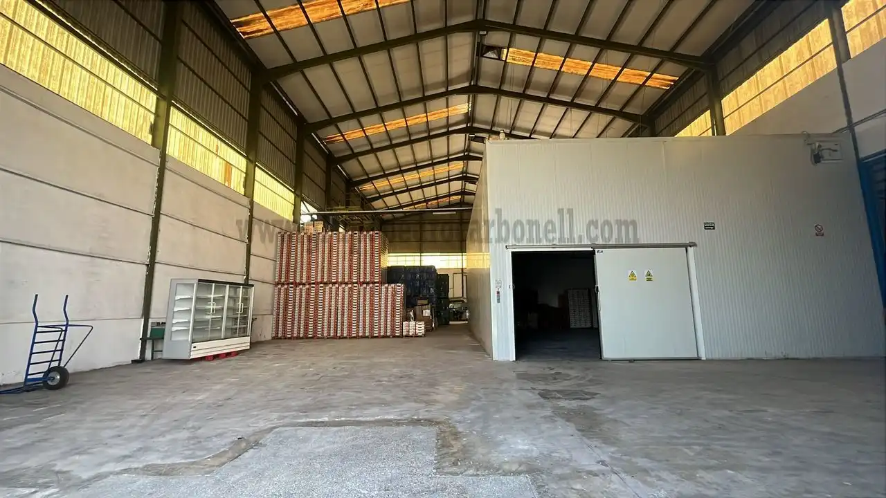 Fabrikhallen zur Miete in Elche / Elx