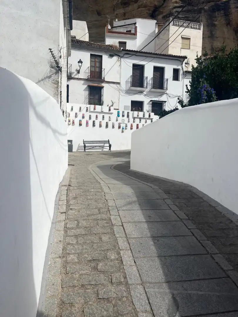 Vista exterior de Casa o chalet en venta en Setenil de las Bodegas con Jardín privado y Trastero