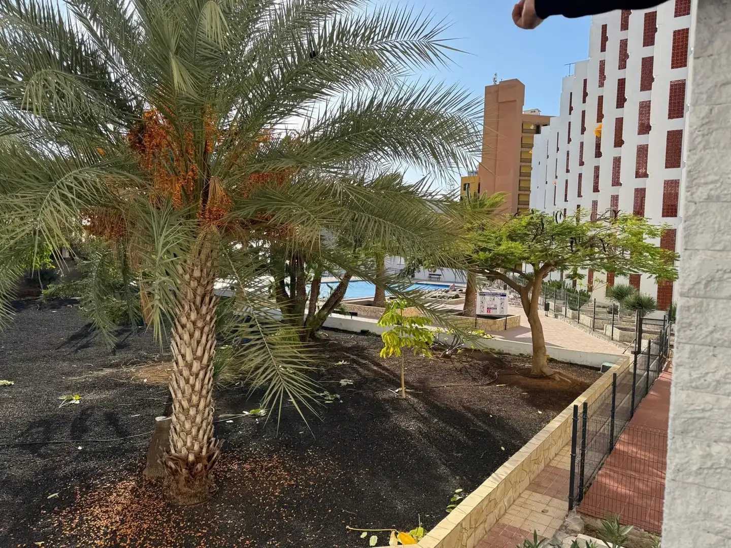 Piso con piscina en venta en Costa Adeje, imagen 11