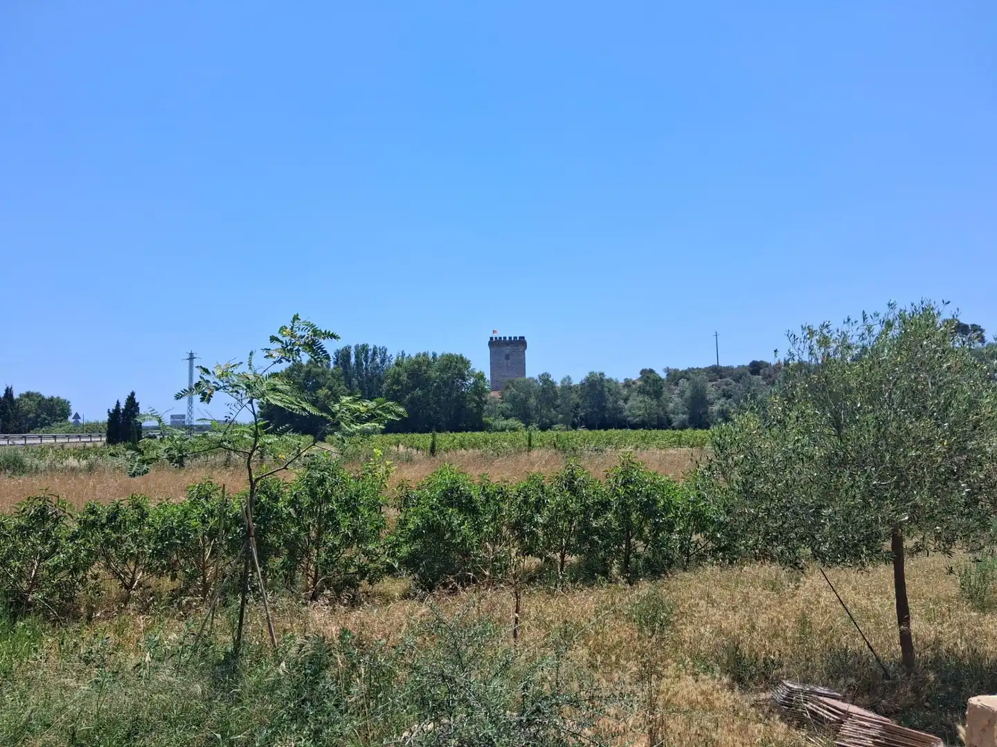 Casa o xalet en venda en Amposta
