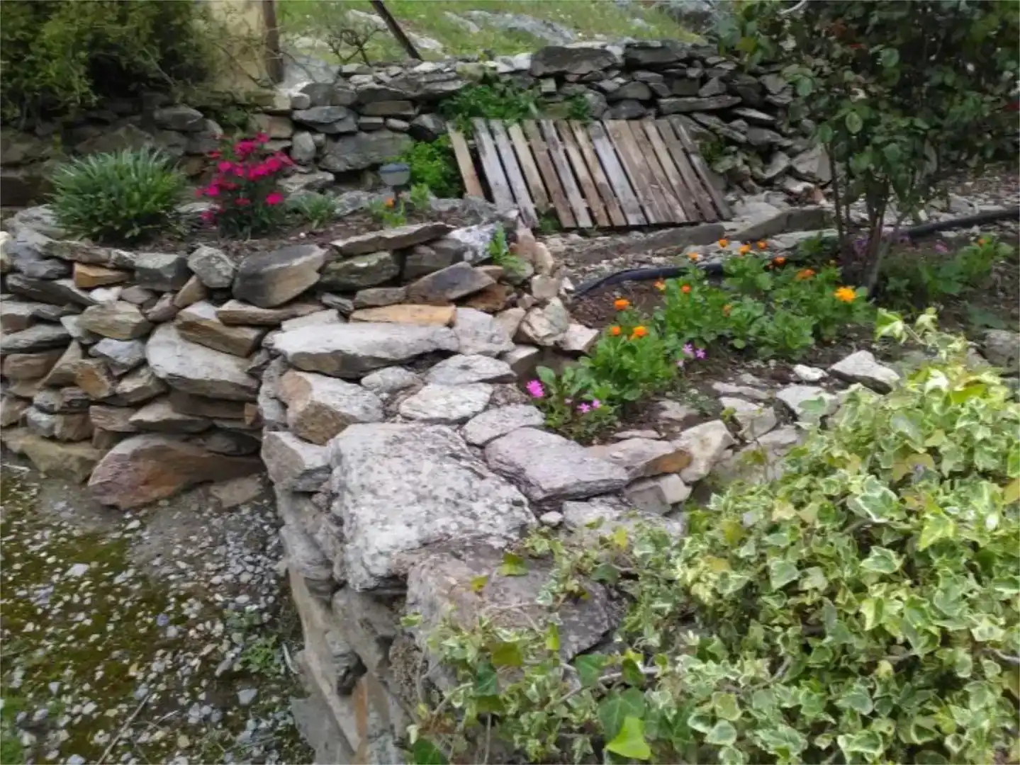 Jardín de Casa o chalet en venta en Usagre con Jardín privado