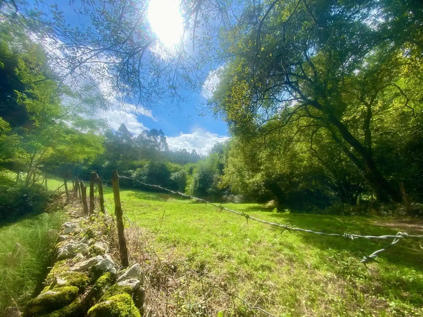 Terreny rústic en venda a Barrio San Millán, imagen 7