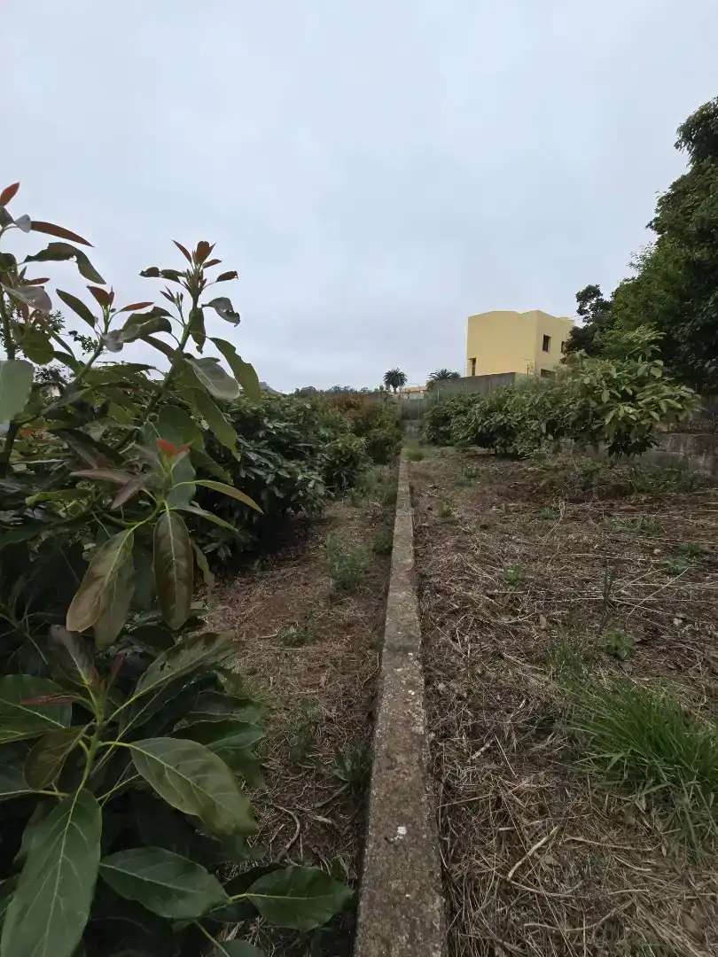 Casa o xalet en venda en Tacoronte amb Balcó