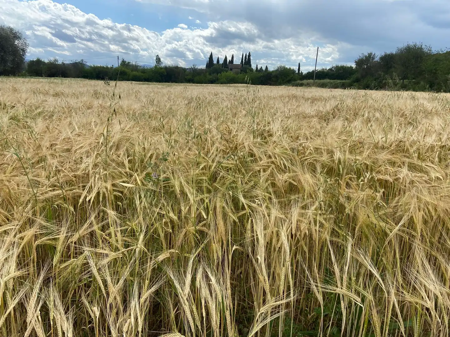 Finca rústica en venda en Maià de Montcal amb Aire condicionat, Calefacció i Jardí privat