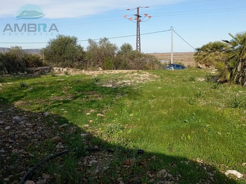 Rural land for sale in Partida racons, imagen 13