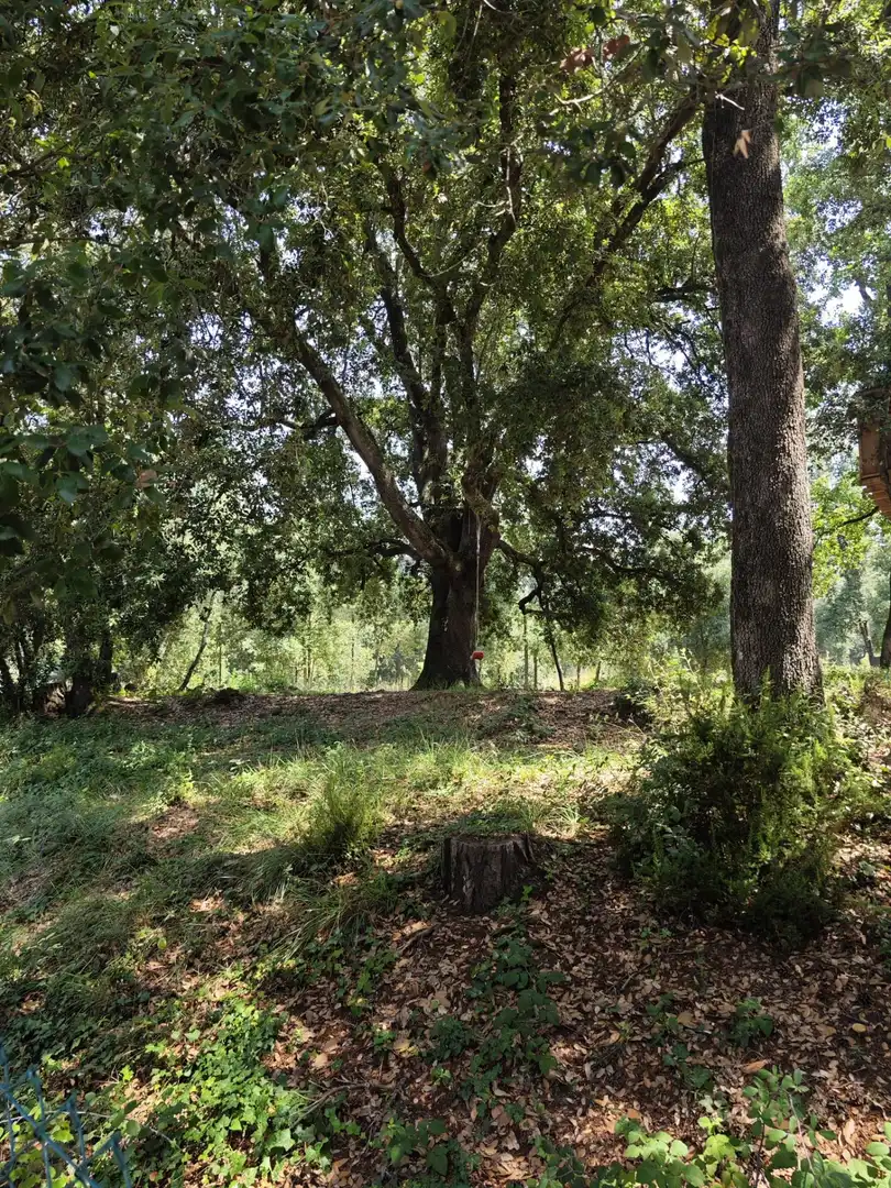 Terrenys i solars en venda a DE SALVADOR ESPRIU, imagen 54