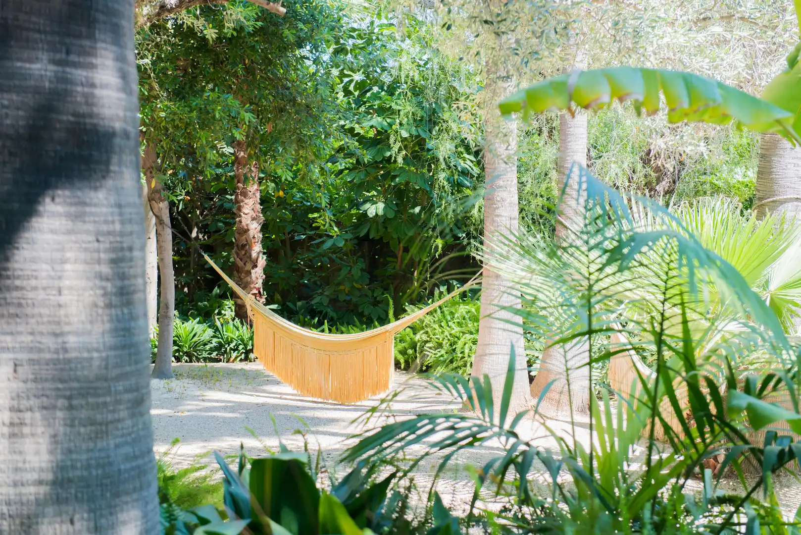 Jardín de Finca rústica en venta en Sagra con Aire acondicionado, Terraza y Piscina