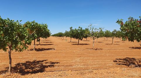 Foto 5 de Terreno en venta en San Fernando - Carretera de Valencia, Cuenca Capital