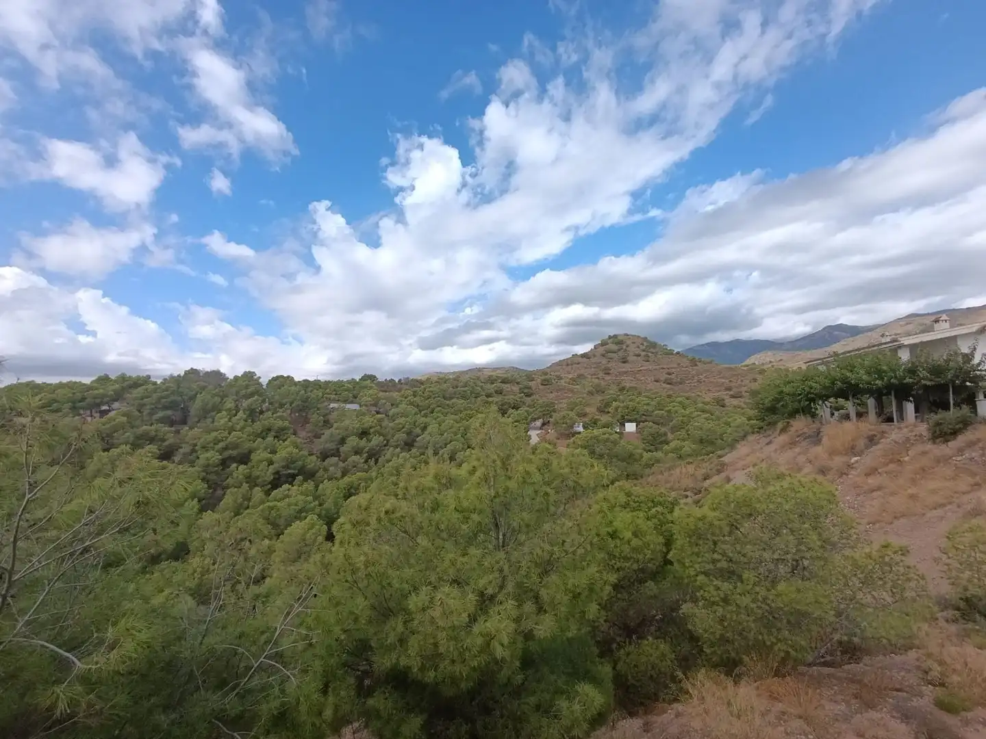 Casa con jardín en venta en Totana, imagen 13
