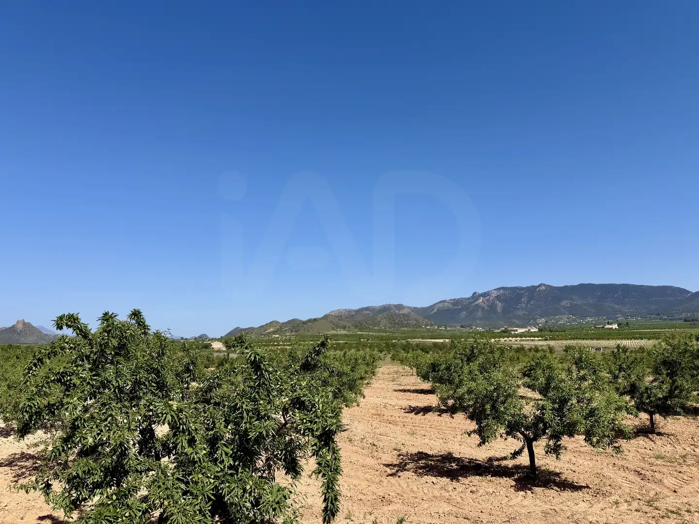 Grundstücke und Bauplätze zum Verkauf in Ricote