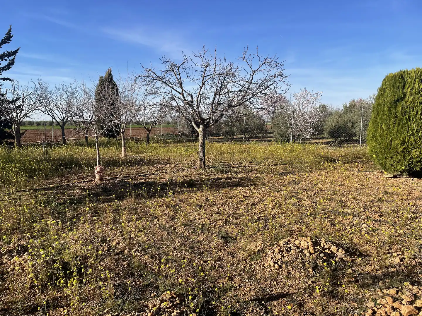 Chalet con jardín en venta en CM-3109 1, imagen 16