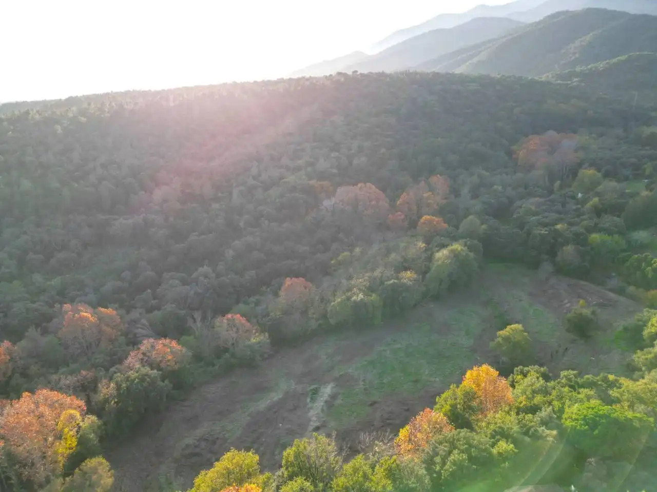 Terreno en venta en Calle GIV-521, 3, Riells i Viabrea