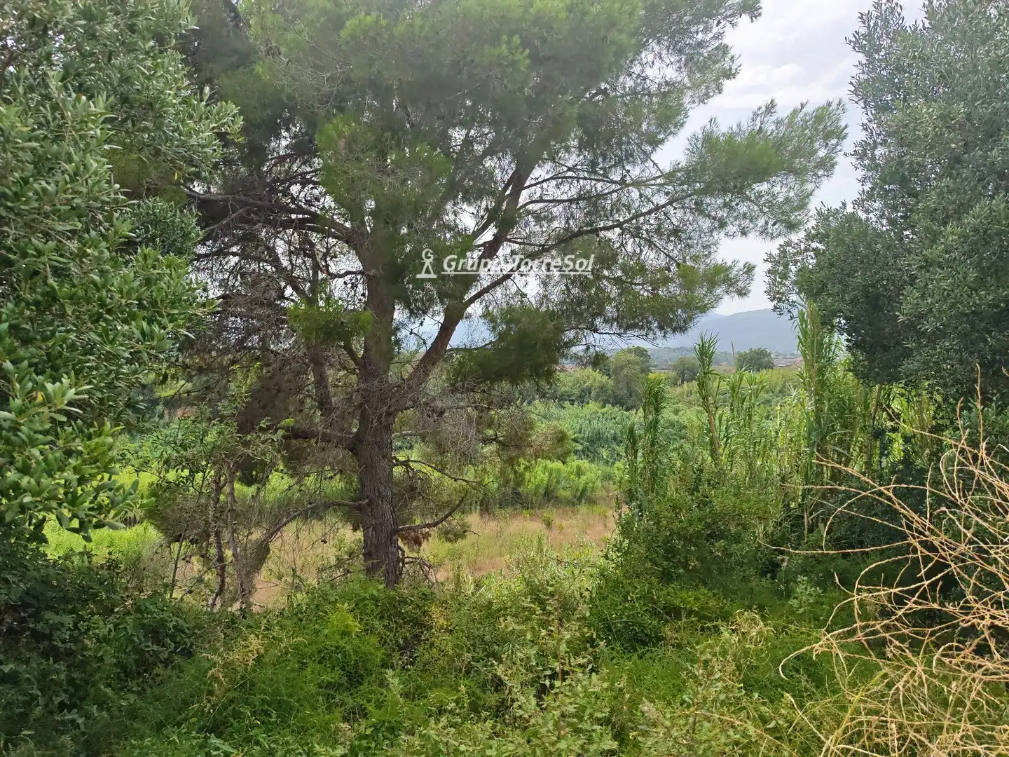 Villa in vendita a Freixa, imagen 60