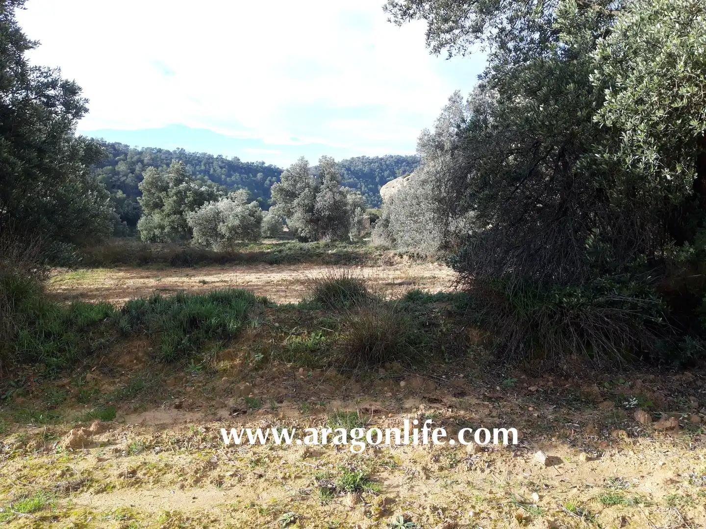 Finca rústica en venta en Batea