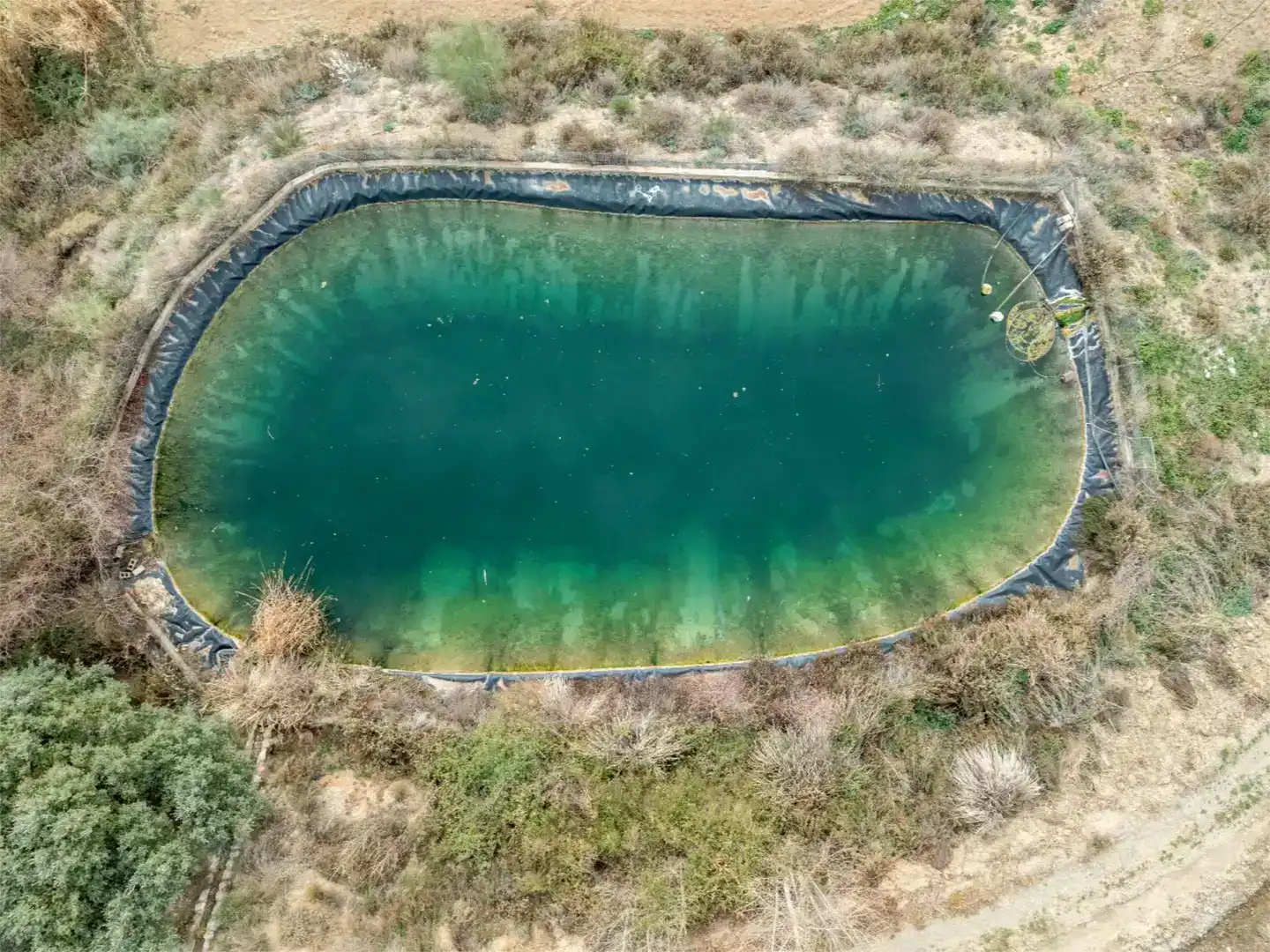 Piscina de Finca rústica en venda en Cádiar
