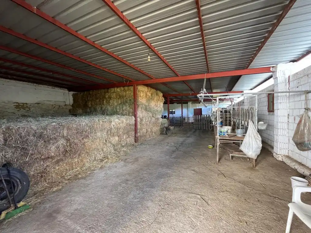 Finca rústica en venda en Ronda