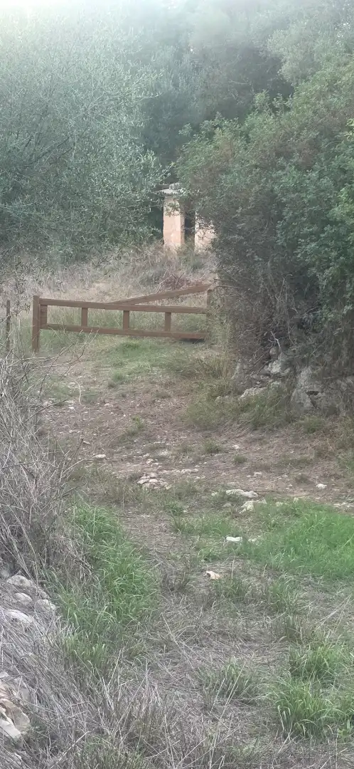 Rustikales Grundstück zum Verkauf in Camí de Son Dalmau 2, imagen 16