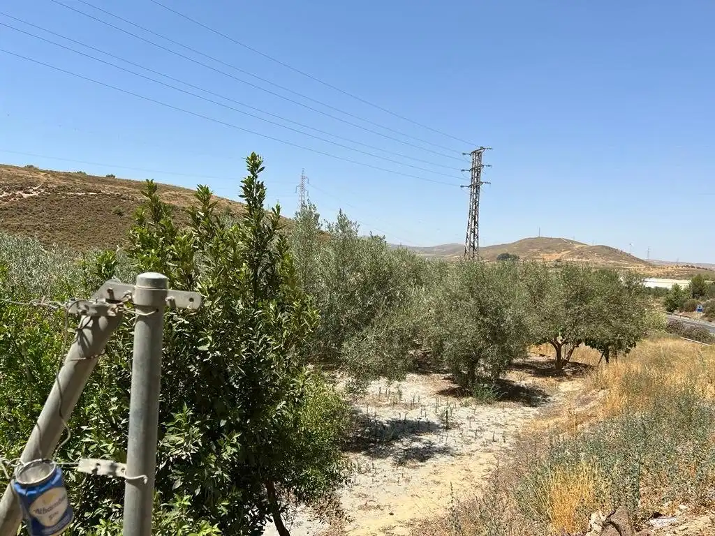 Casa rústica en venda a Villamena, imagen 10